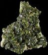 Green Epidote Crystal Cluster - Morocco #49416-1